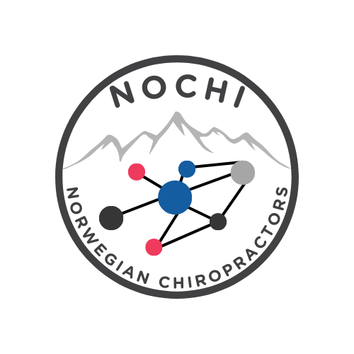 Nochi logo